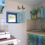 Zenzero Lipari