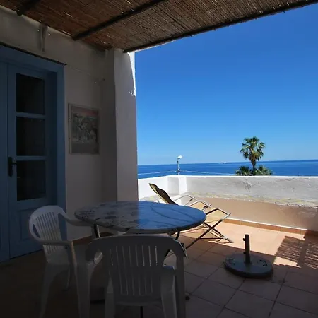 Zenzero Lipari * Canneto (Lipari)